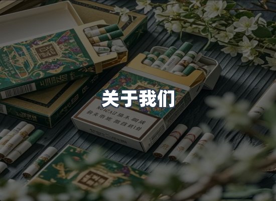 专业团队